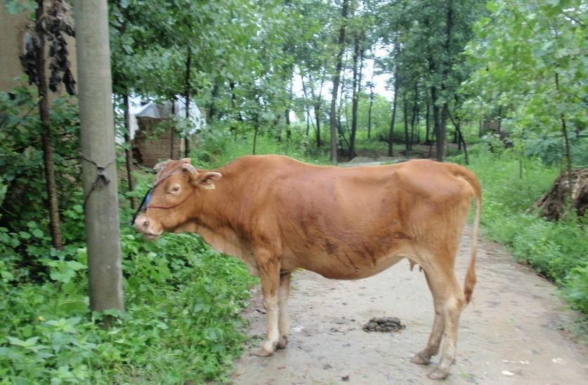 慈溪最新求一个套医保卡的黄牛是真的吗方法分析(最方便真实的慈溪求一个套医保卡的黄牛是真的吗还是假的方法)